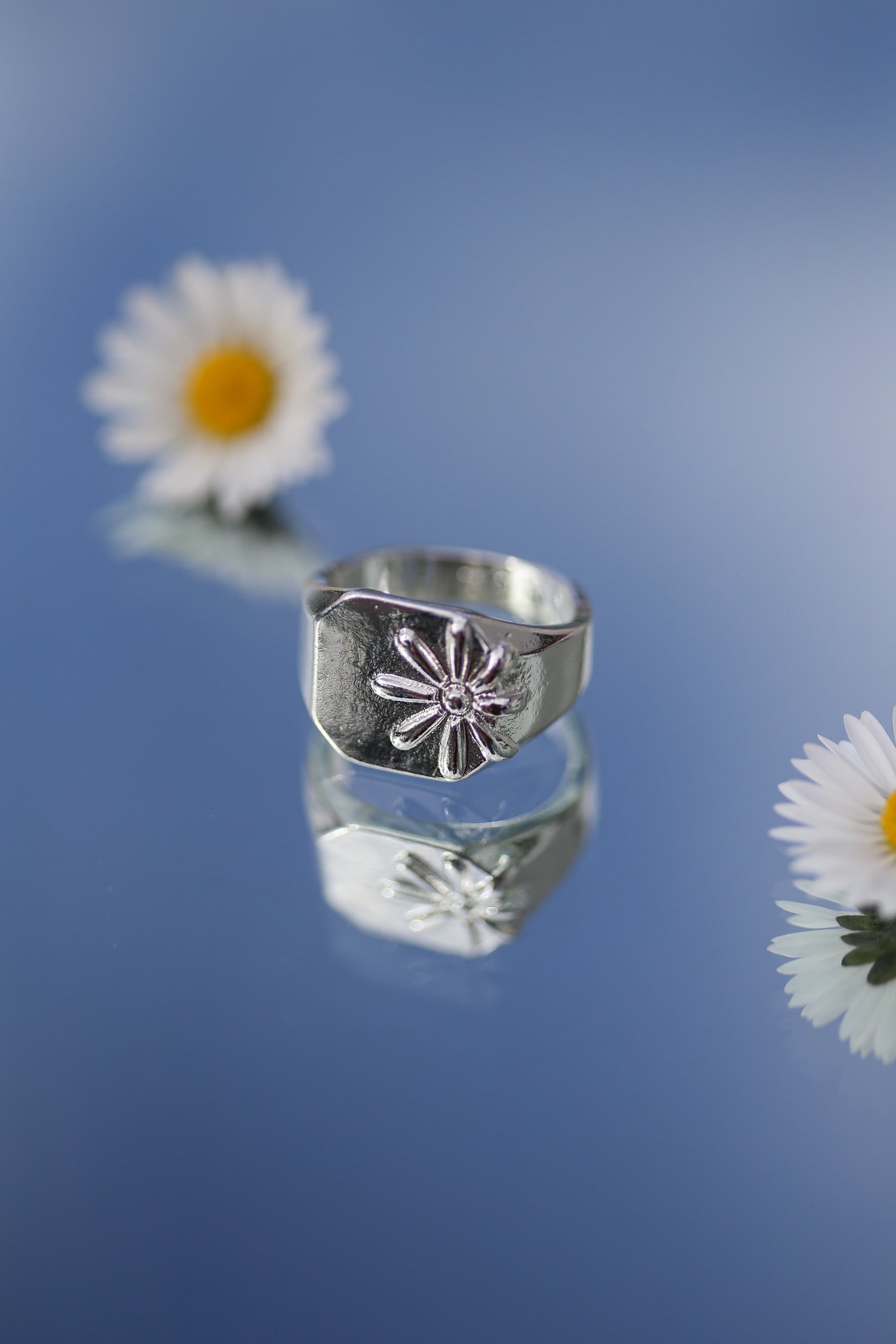 Silver Daisies Set